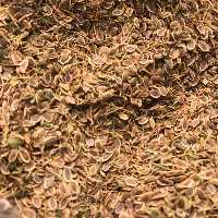 تخم شوید محلی خراسان معطر و با کیفیت(500 گرمی)