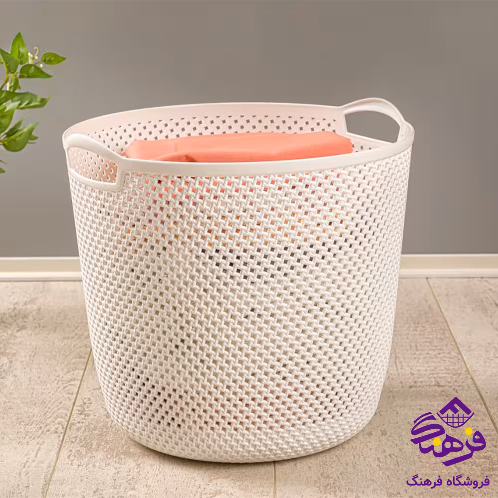 سبدرخت لیمون بافت گرد