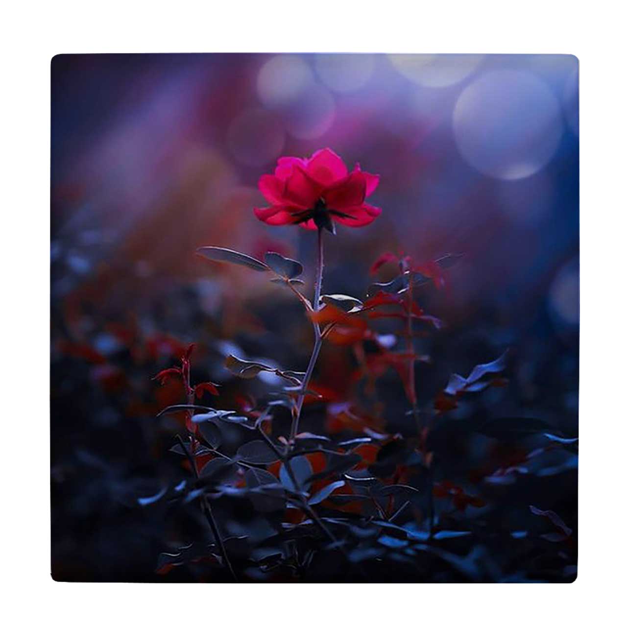  زیر لیوانی  طرح گل رز کد    5767974_4010