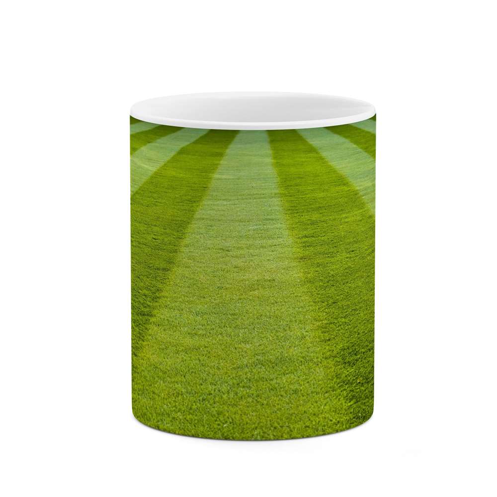 ماگ کاکتی طرح منظره مدل mgs14710