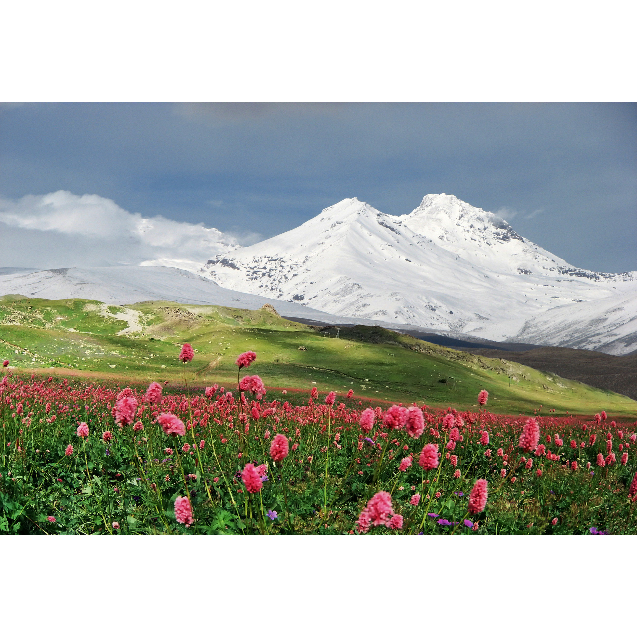 تابلو شاسی مدل کوه و برف و سبزه و گل سنبل  T7061