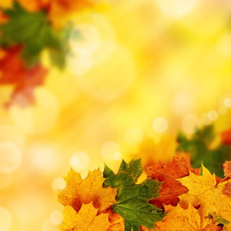 خرید و دانلود عکس Nature-Part-19 کد 35930 | پیک فاکس | Pic Fox