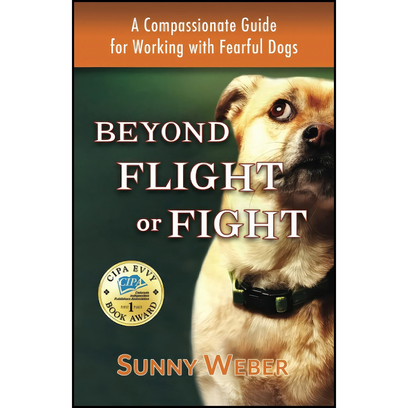 کتاب زبان اصلی Beyond Flight or Fight اثر Sunny Weber