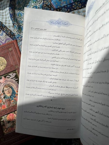 دیوان پروین اعتصامی پالتویی پلاک دار 2 رنگ ترمو برشی پل دار - کتابفروشی کوچه کتاب