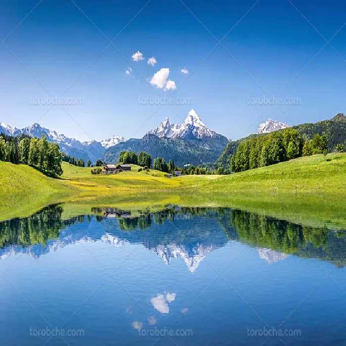 عکس طبیعت زیبا با کیفیت عالی | گرافیک با طعم تربچه