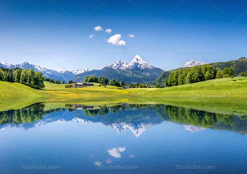 عکس طبیعت زیبا با کیفیت عالی | گرافیک با طعم تربچه