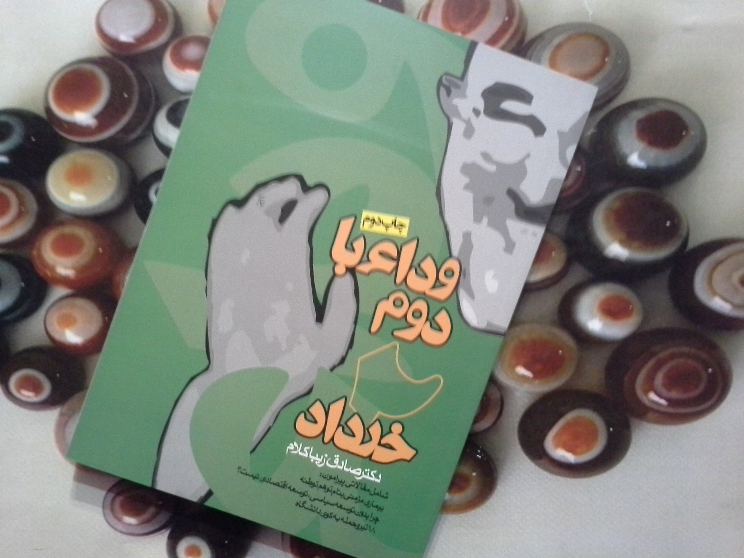 کتاب وداع با دوم خرداد - خرید با تخفیف چهل درصد ازکتاب دایره قهوه ای