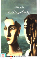 قیمت و خرید کتاب بهار با کنجی شکسته نشر ثالث | ایده بوک