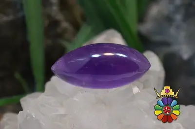 امتیست دامله(کاپوشی)