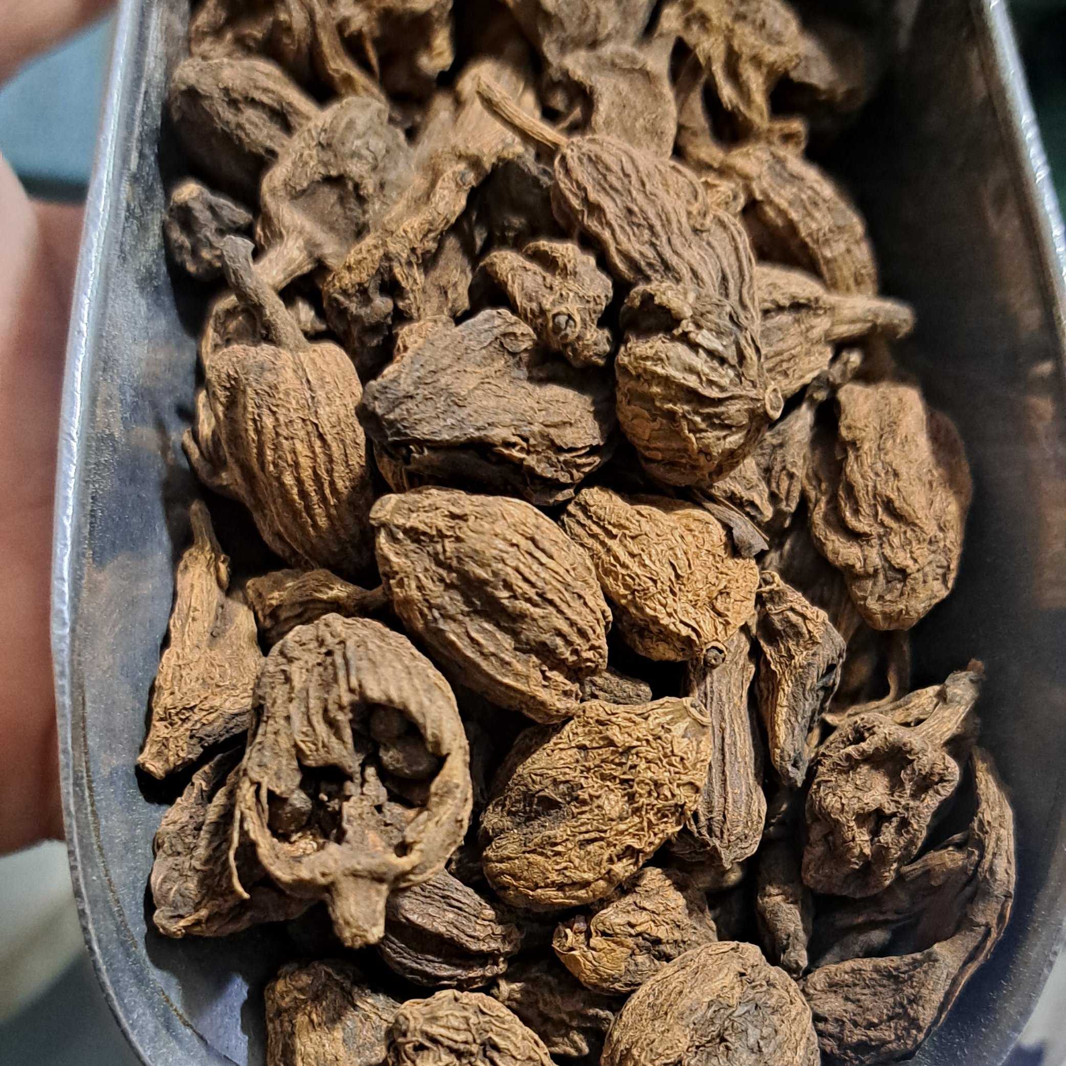 هل باد 50 گرمی ،هل باد