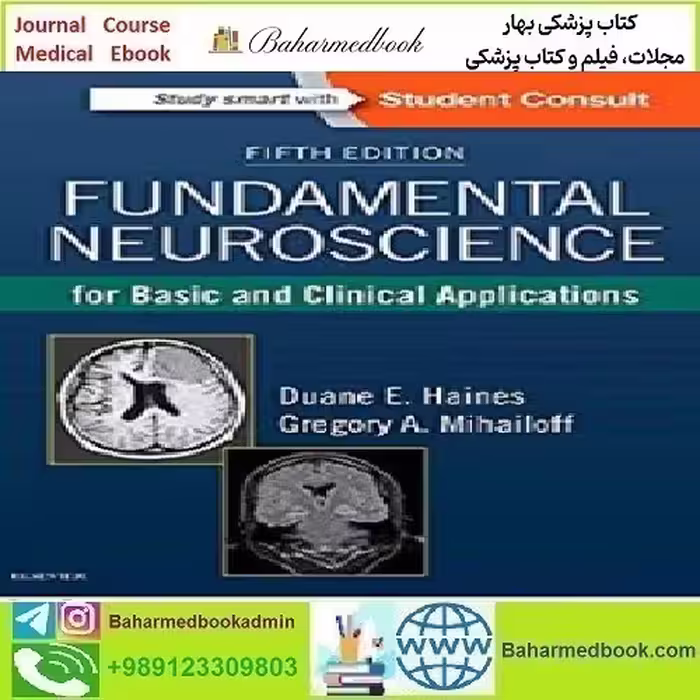 Fundamental Neuroscience for Basic and Clinical Applications 201