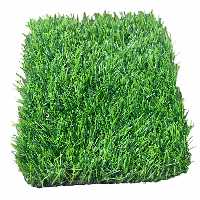 چمن مصنوعی مدل هلندی SUPER.35 سایز 2×2 متر