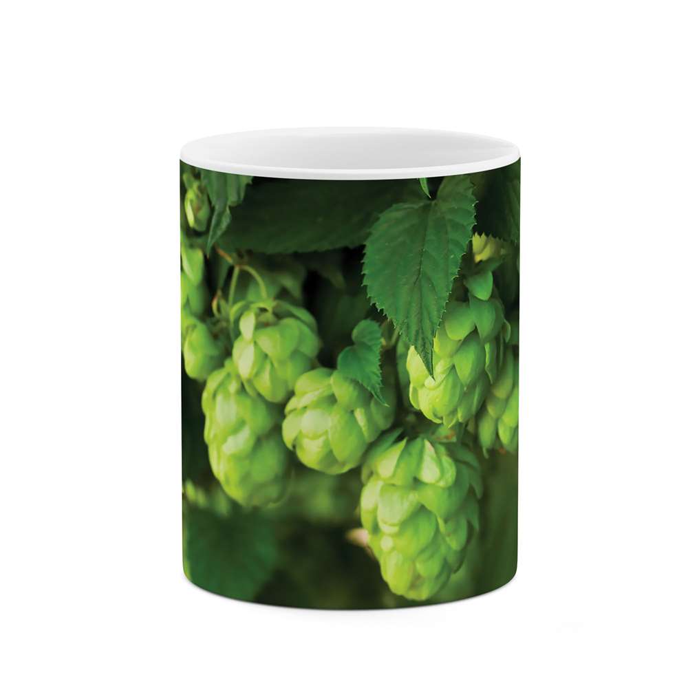 ماگ طرح میوه درخت مدل  04234