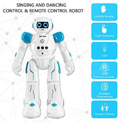 ربات کنترلی مدل R11