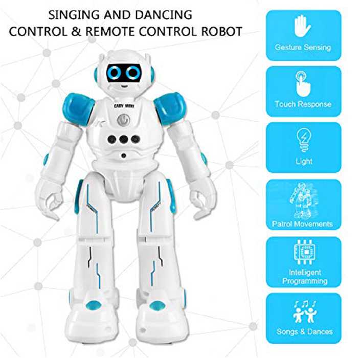 ربات کنترلی مدل R11