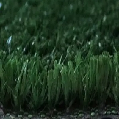 چمن مصنوعی مدل 10 سایز 2x8 متر