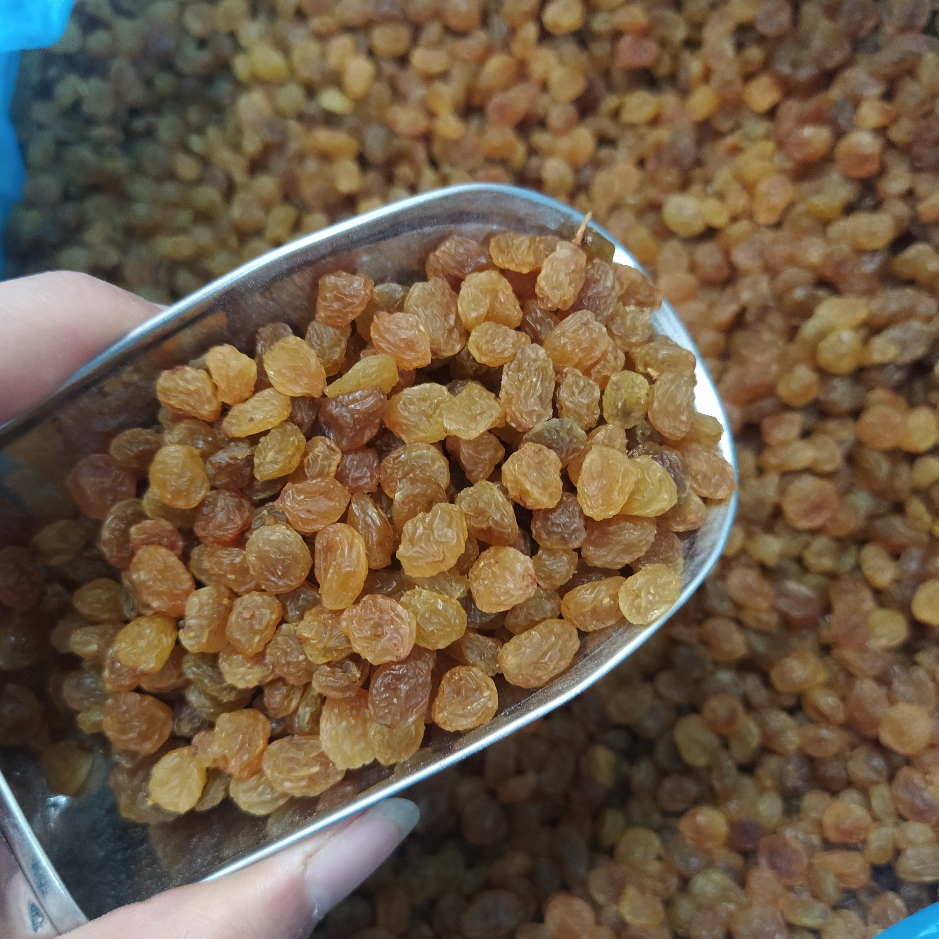 کشمش پلویی اعلا (500 گرمی)