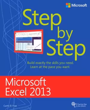 خرید و دانلود نسخه کامل کتاب Microsoft Excel 2013 Step by Step