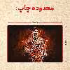 پازل 35 تکه مدل رونالدو کد 206