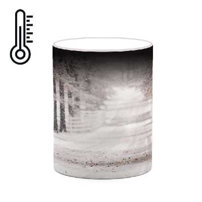 ماگ حرارتی کاکتی طرح منظره مدل mgh18349