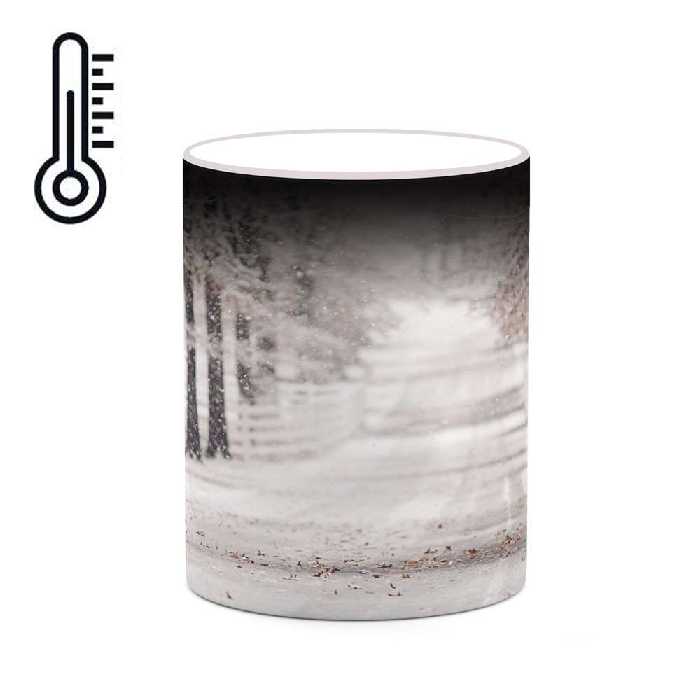 ماگ حرارتی کاکتی طرح منظره مدل mgh18349