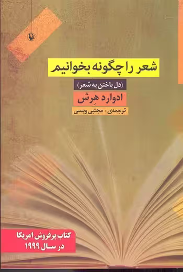 شعر را چگونه بخوانیم (دل باختن به شعر)