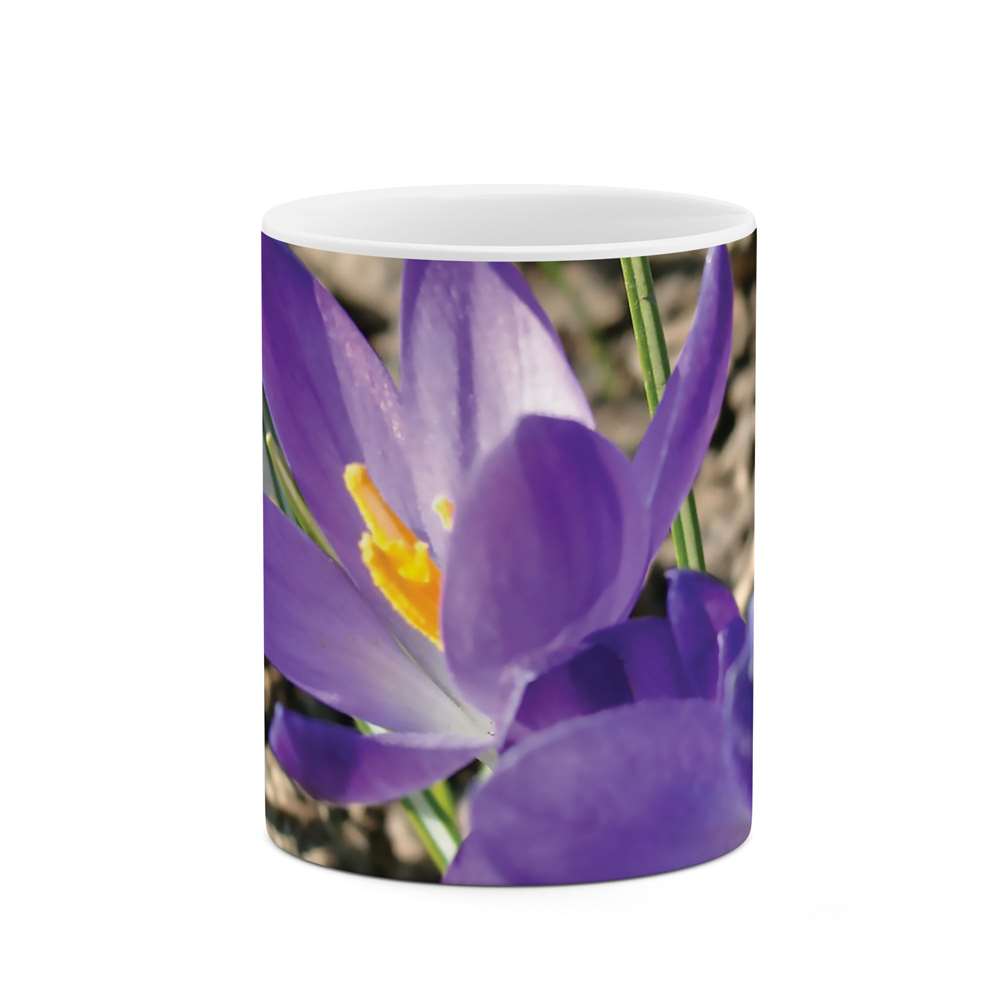 ماگ طرح گل مدل mgs06817