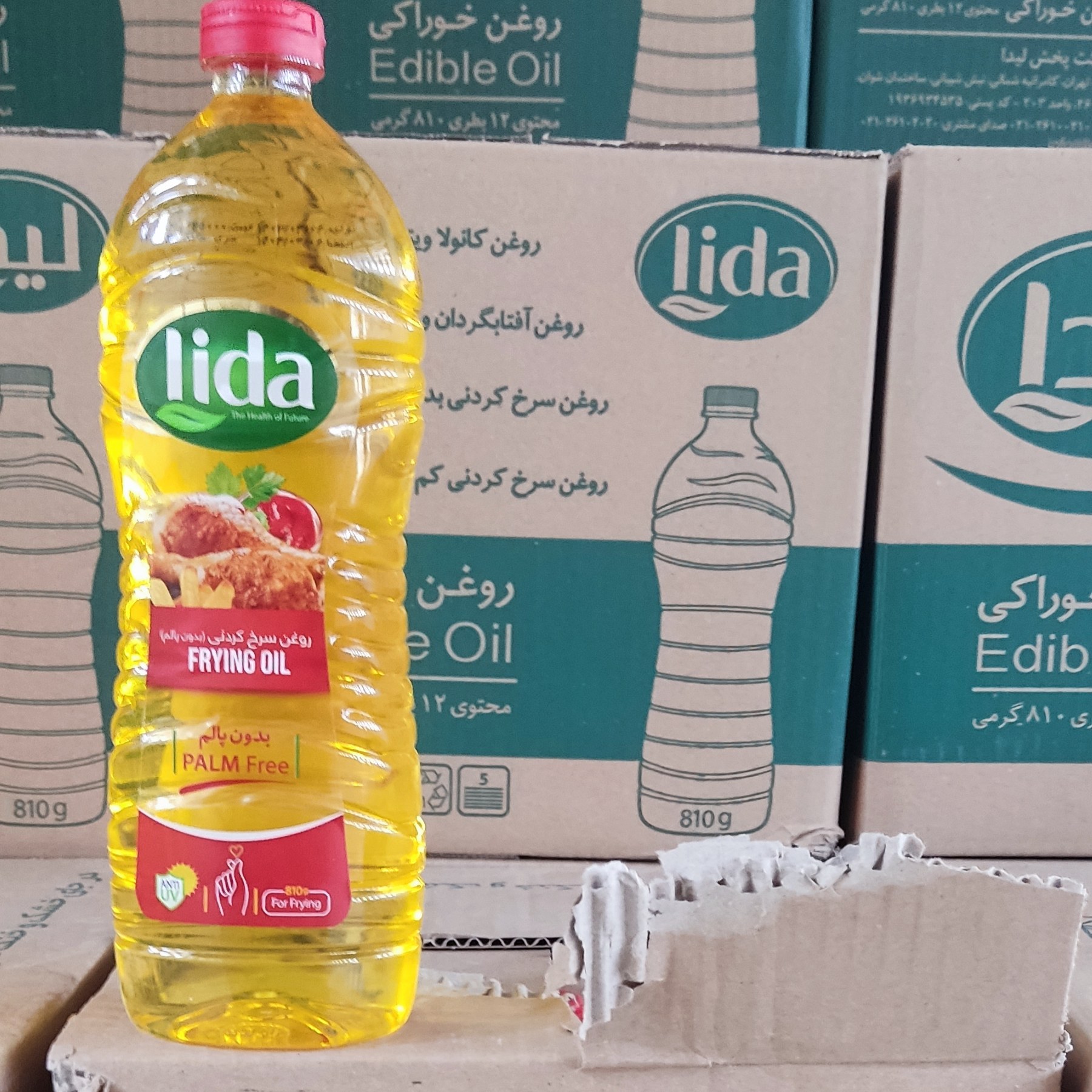 روغن سرخ کردنی بدون پالم 810لیدا (قو)