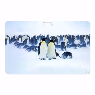 برچسب پوششی ماهوت مدل Penguin مناسب برای تبلت جی ال ایکس W11 Plus
