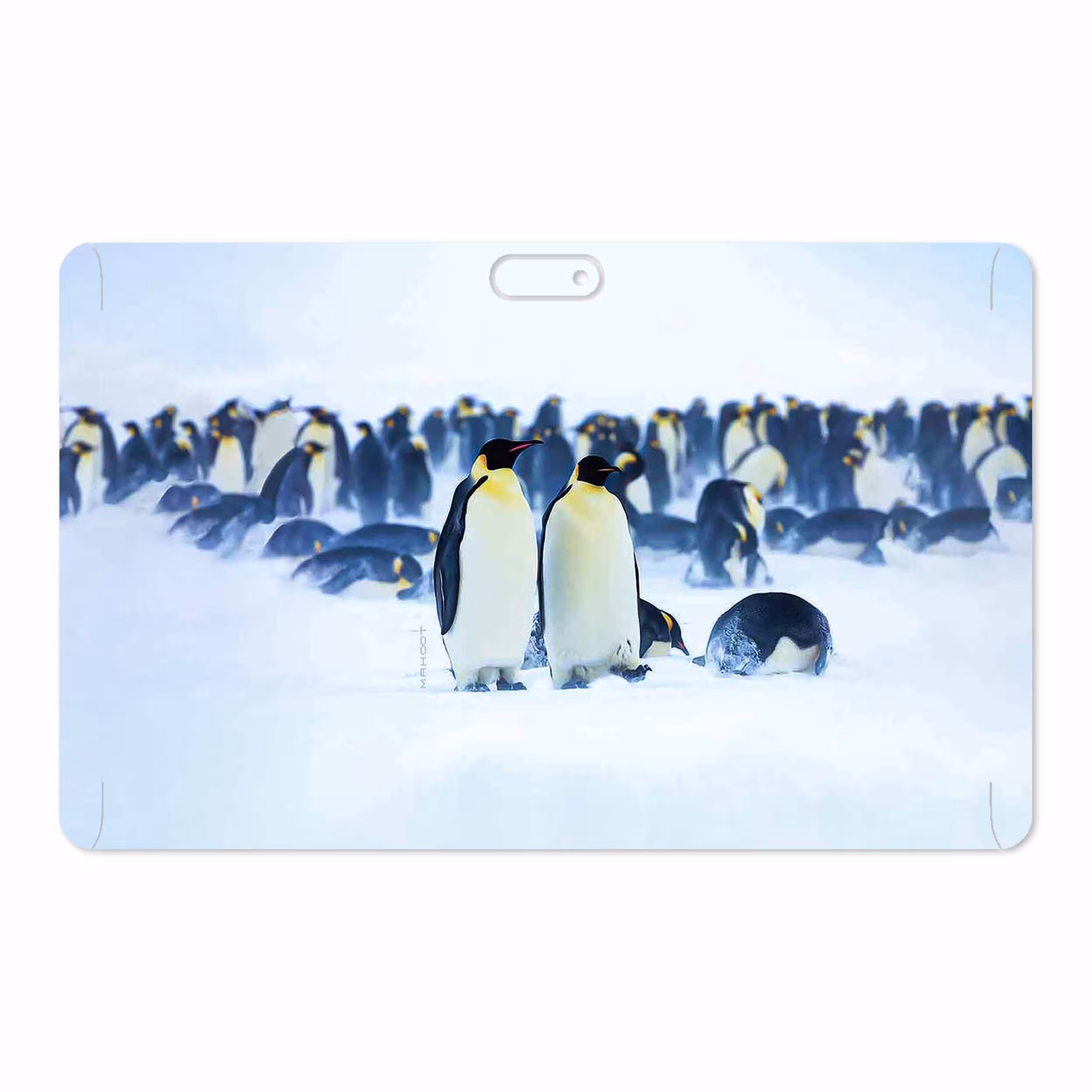 برچسب پوششی ماهوت مدل Penguin مناسب برای تبلت جی ال ایکس W11 Plus