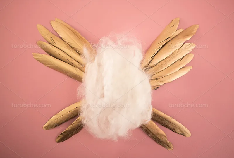 بک دراپ عکاسی نوزاد با پرهای طلایی | گرافیک با طعم تربچه