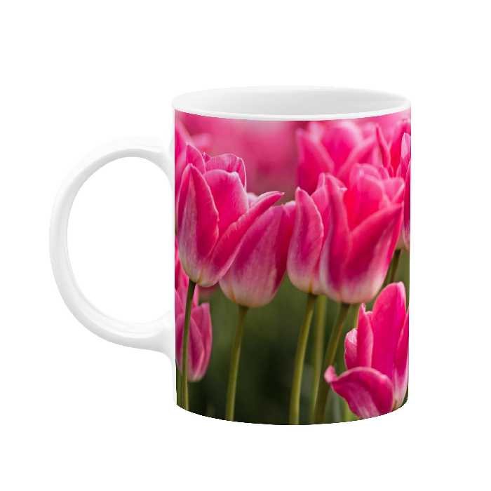 ماگ طرح گل مدل mgp03139