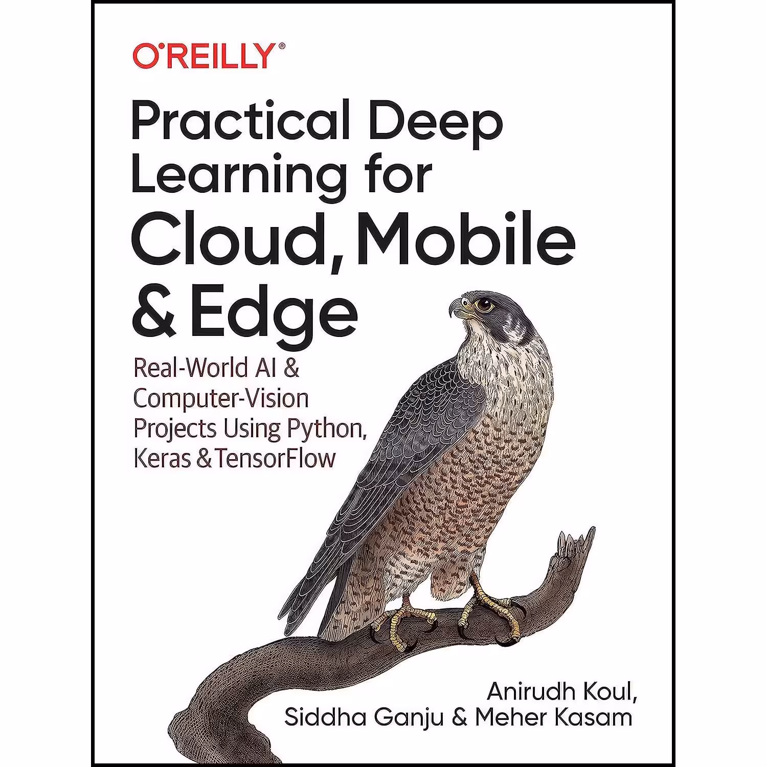 کتاب زبان اصلی Practical Deep Learning for Cloud Mobile and Edge