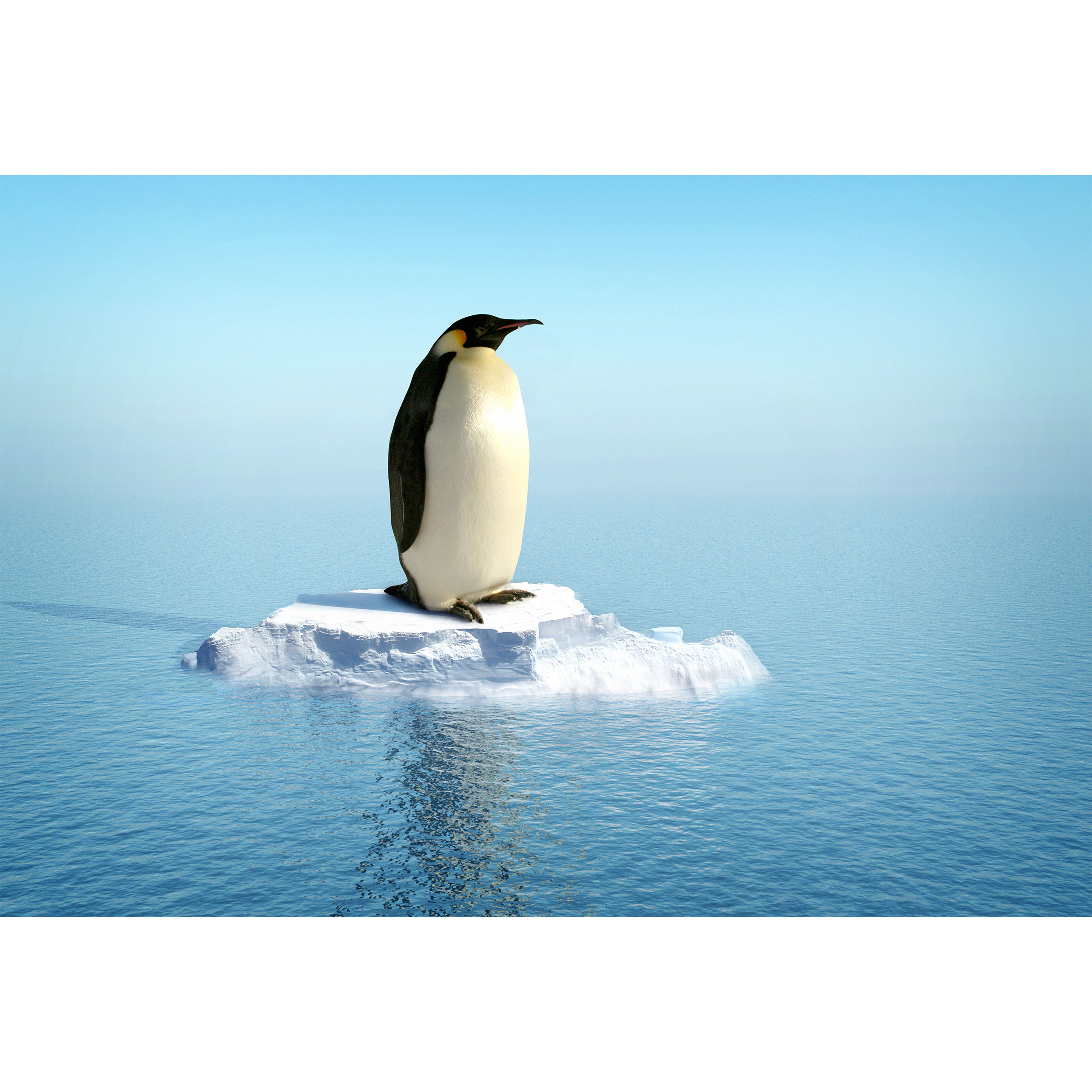 تابلو شاسی مدل پنگوئن و دریا T7022