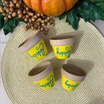 گلدان سفالی مدل یاقوت happy کد 4