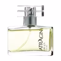 ادکلن مردانه عطرآگین مدل Bijan حجم 50 میلی لیتر