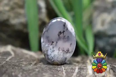 اپال دندریت