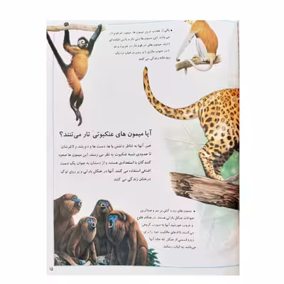 کتاب فکر می کنید چرا جنگل ها اثر جکی گاف انتشارات عروج اندیشه جلد 5