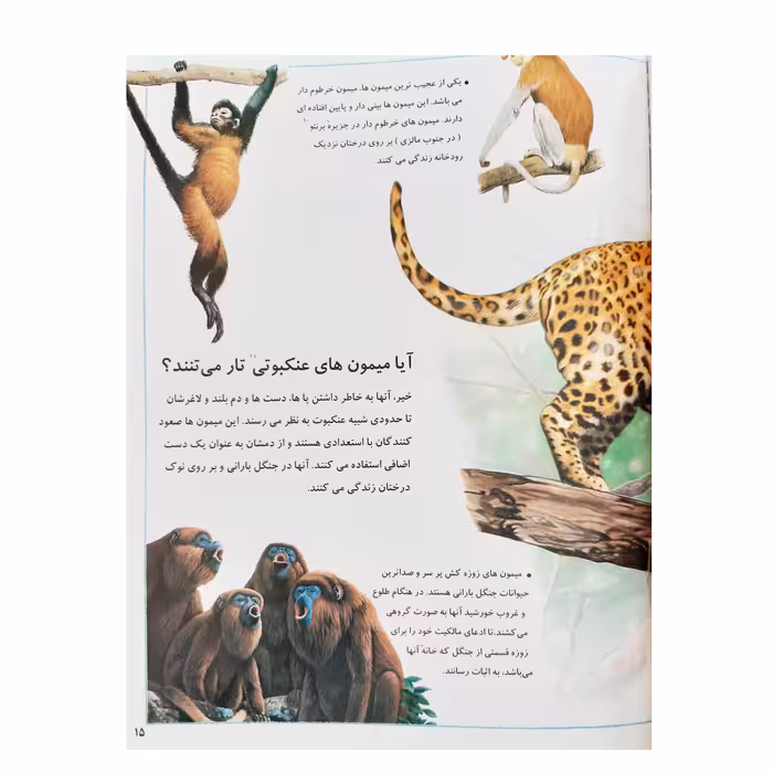 کتاب فکر می کنید چرا جنگل ها اثر جکی گاف انتشارات عروج اندیشه جلد 5