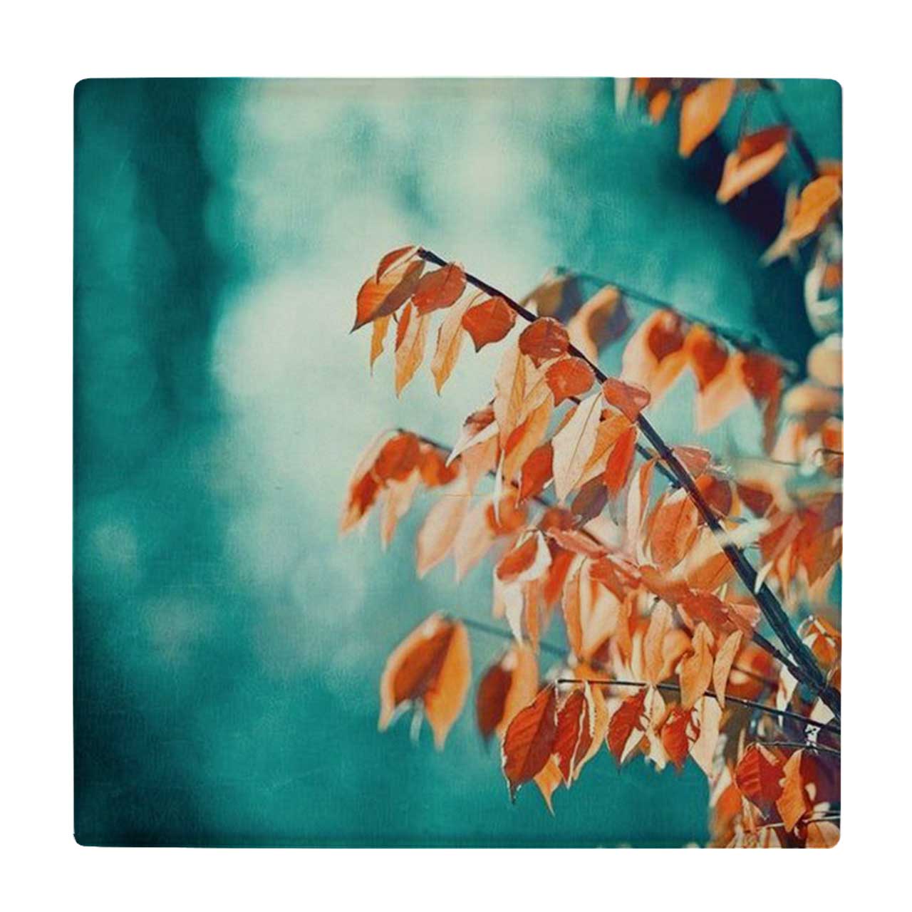 زیر لیوانی  طرح برگ های پاییزی کد    5862827_4350