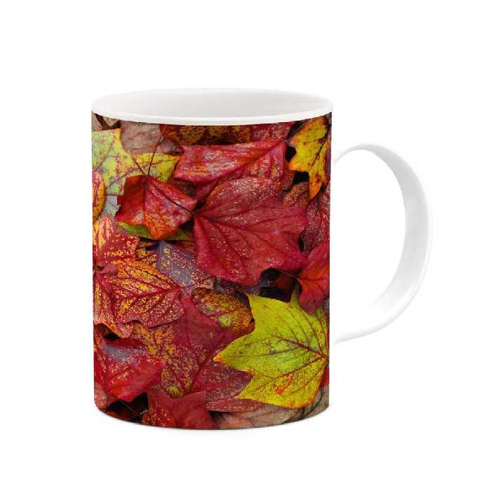 ماگ کاکتی طرح برگ مدل mgs15346