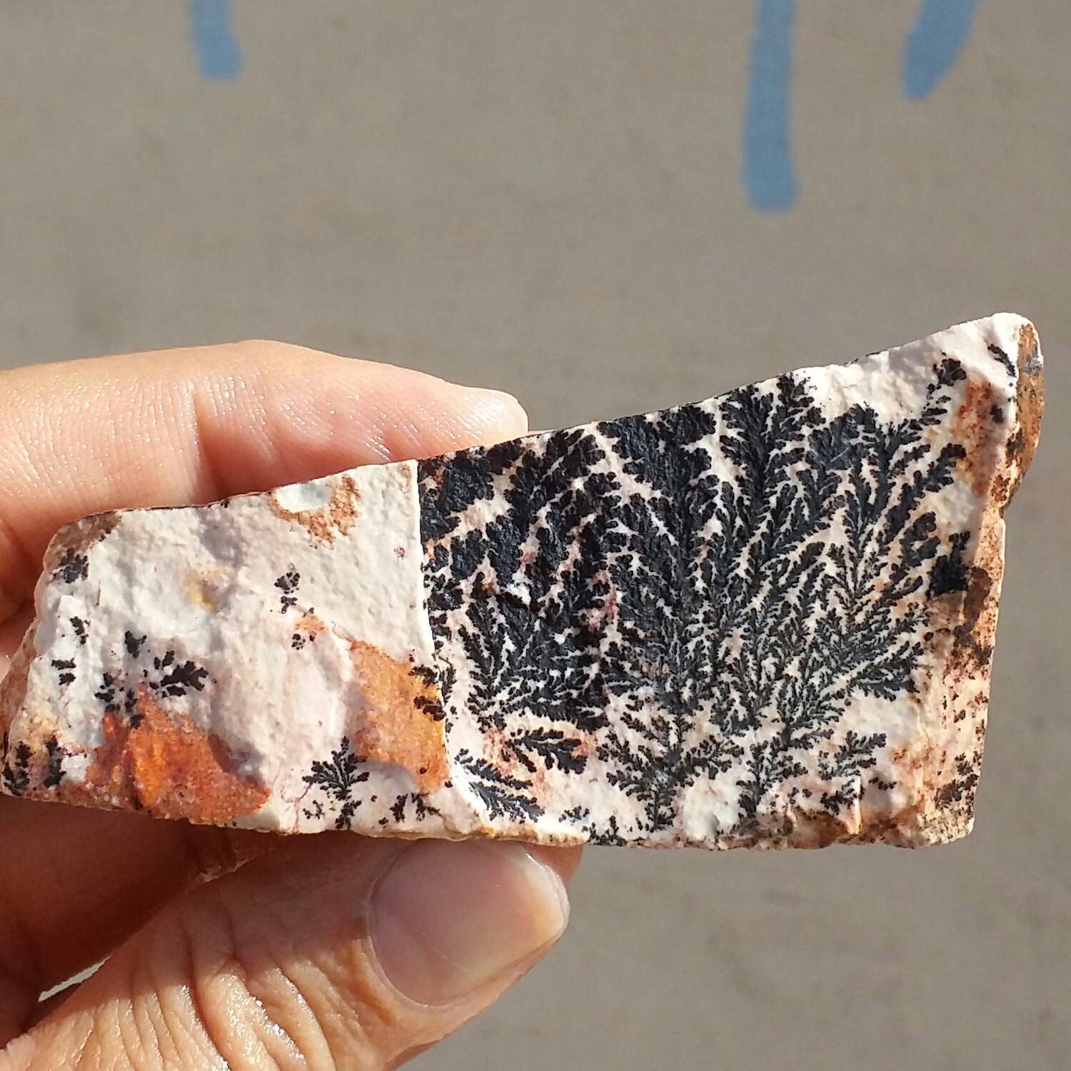 سنگ راف 100 در 100 طبیعی شجر دندریتی یا فسیلی محشر  خاص شاهکار خلقت
شجر واضح خاص
تصویر از 4طرف نمونه
کد 11047