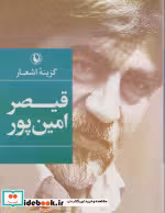 خرید کتاب گزینه ی اشعار قیصر امین پور نشر مروارید قطع جیبی | ایده بوک
