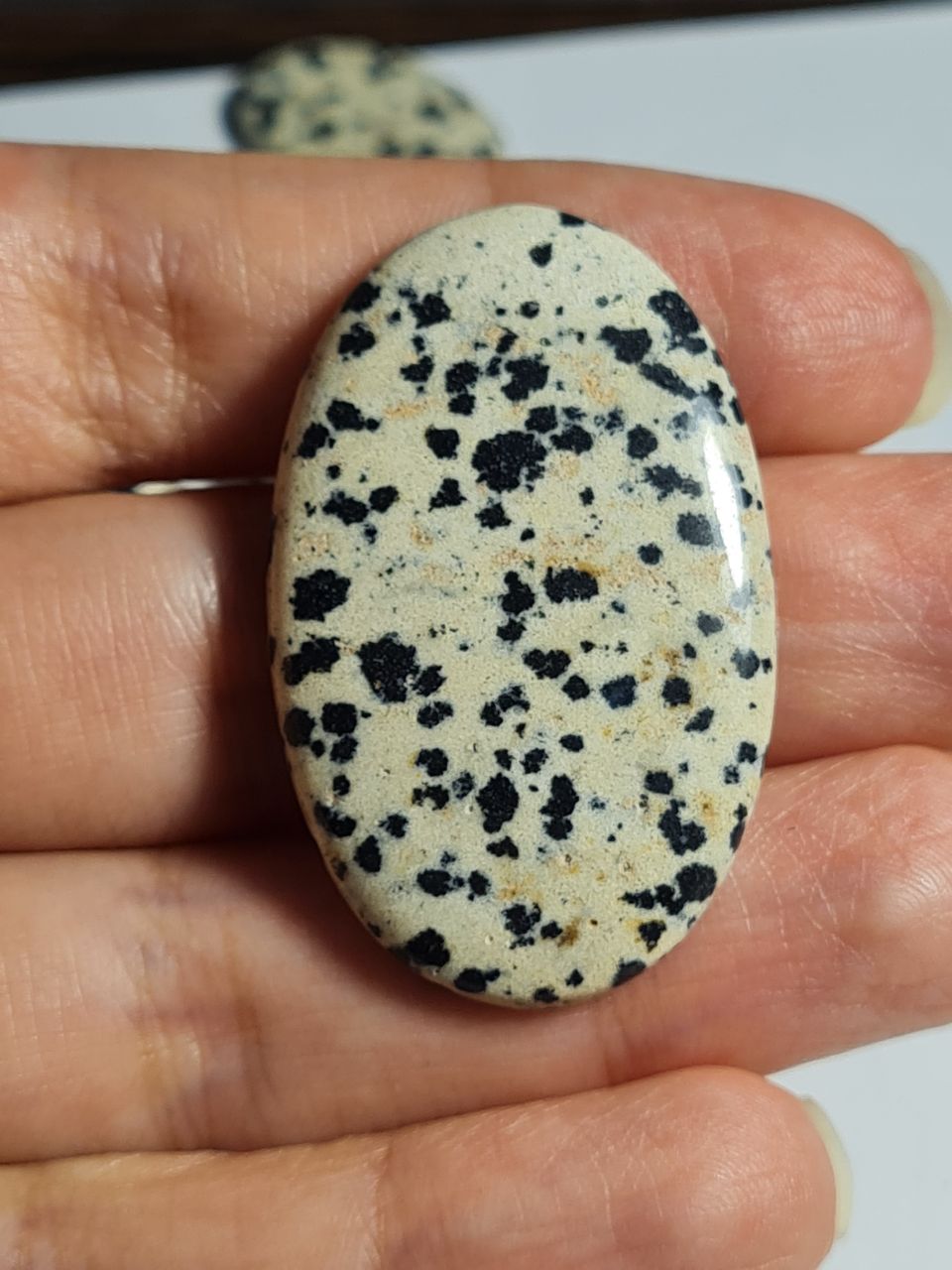 دالمیشن جاسپر طبیعی بیضی 3853