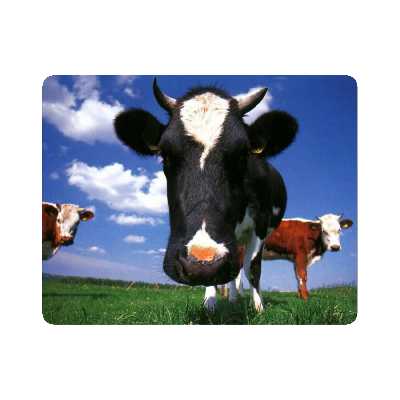 ماوس پد اطلس آبی طرح گاو و آسمان مدل T7370