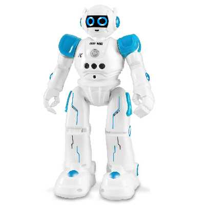 ربات کنترلی مدل R11