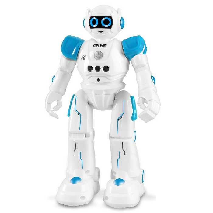 ربات کنترلی مدل R11