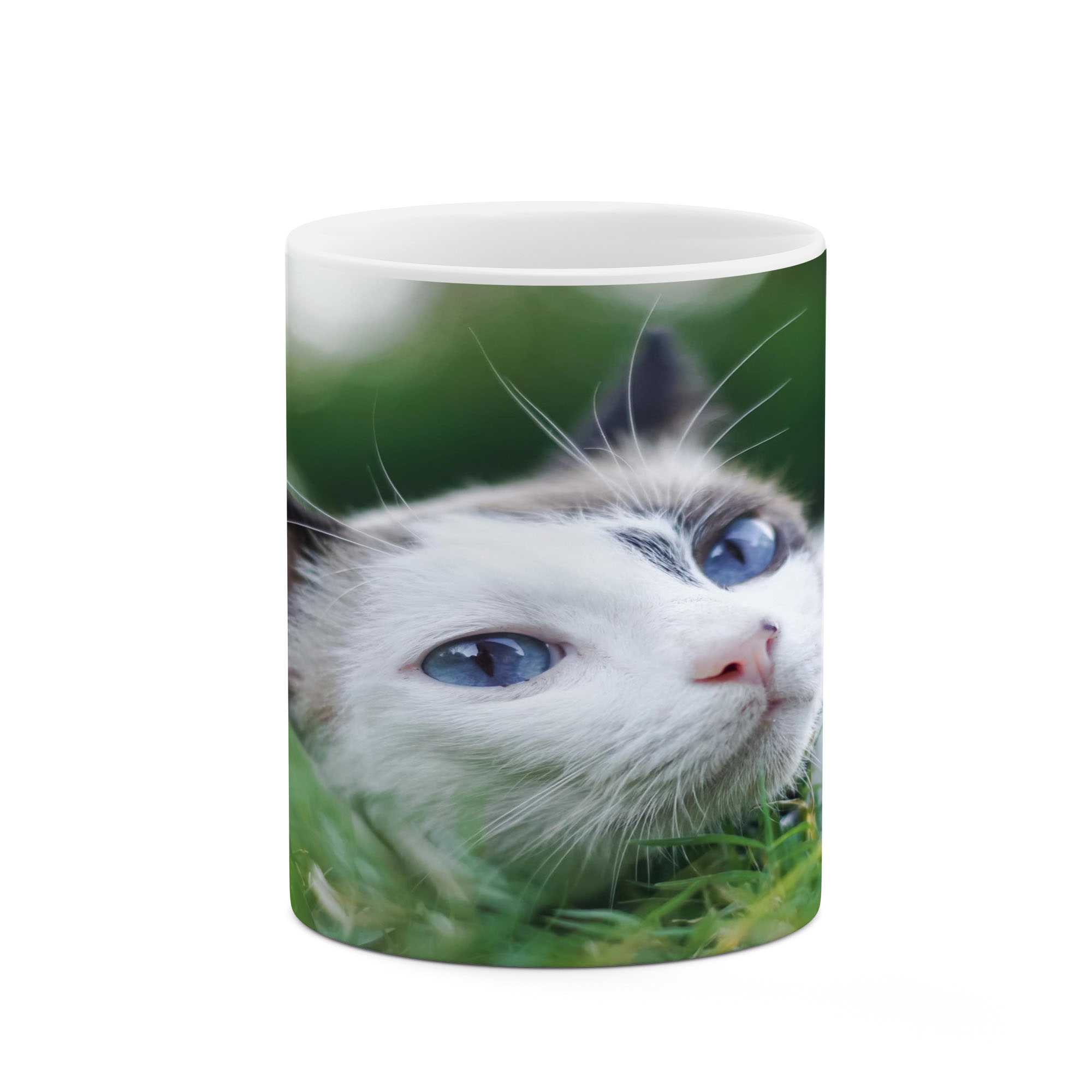 ماگ کاکتی طرح گربه مدل mgs17213