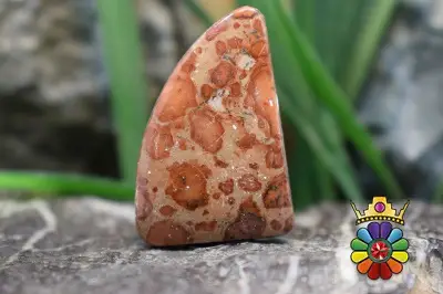 کافی بین جاسپر