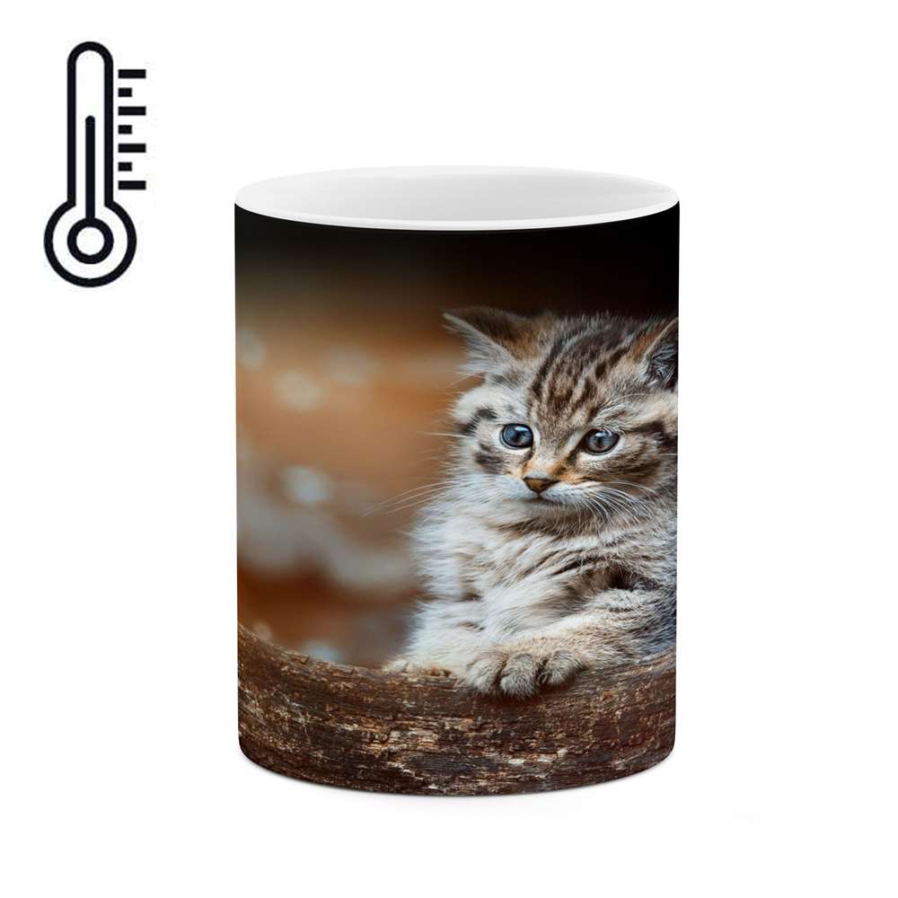 ماگ حرارتی کاکتی طرح گربه مدل mgh14208